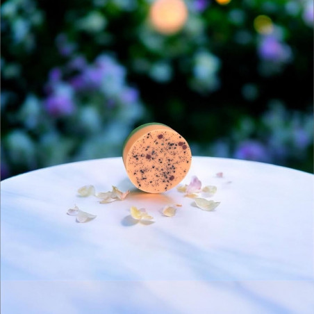 Fondant parfumé Melon en cire végétale artisanale - Senteurs d'Aulia