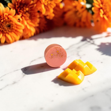 Fondant parfumé Mangue & Goyave artisanal en cire végétale – Senteurs d'Aulia