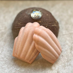Fondant Parfumé Madeleine en Cire – Senteur Gourmande pour Diffuseur