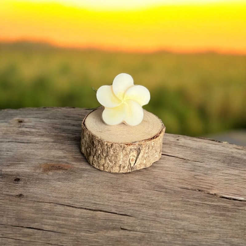Fondant Frangipanier & Jasmin – Évasion Florale d'Été