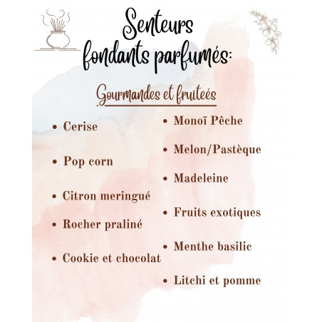 Tablettes Parfumées – À casser pour Brûleur : parfum et forme au choix