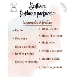 Tablettes Parfumées – À casser pour Brûleur : parfum et forme au choix