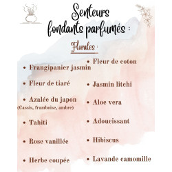 Tablettes Parfumées – À casser pour Brûleur : parfum et forme au choix