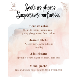 Pochette Cadeau Personnalisable – Brûleur, Fondant et Suspension