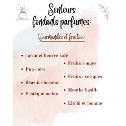 Tablettes Parfumées – À casser pour Brûleur : parfum et forme au choix