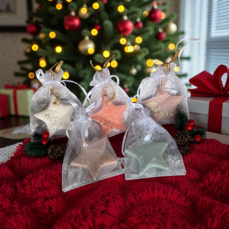Suspension parfumée étoile | Diffuseur de Noël pour armoire et dressing | Senteur au choix : sapin, pain d’épices, cannelle, van