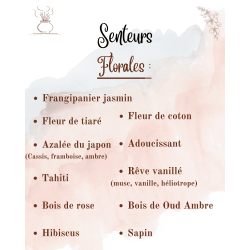 Tablettes Parfumées – À casser pour Brûleur : parfum et forme au choix