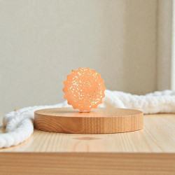 Fondant Parfumé Monoï Pêche – Senteur Tropicale et Fruité pour Diffuseur