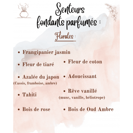 Pochette Cadeau Personnalisable – Brûleur, Fondant et Suspension